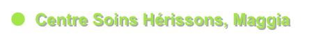 ●	Centre Soins Hérissons, Maggia